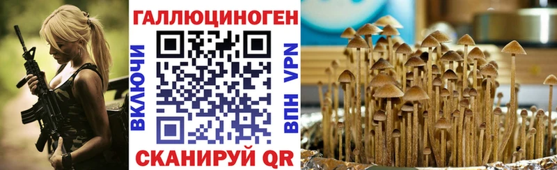 Купить где  Велиж  Псилоцибиновые грибы мухоморы 